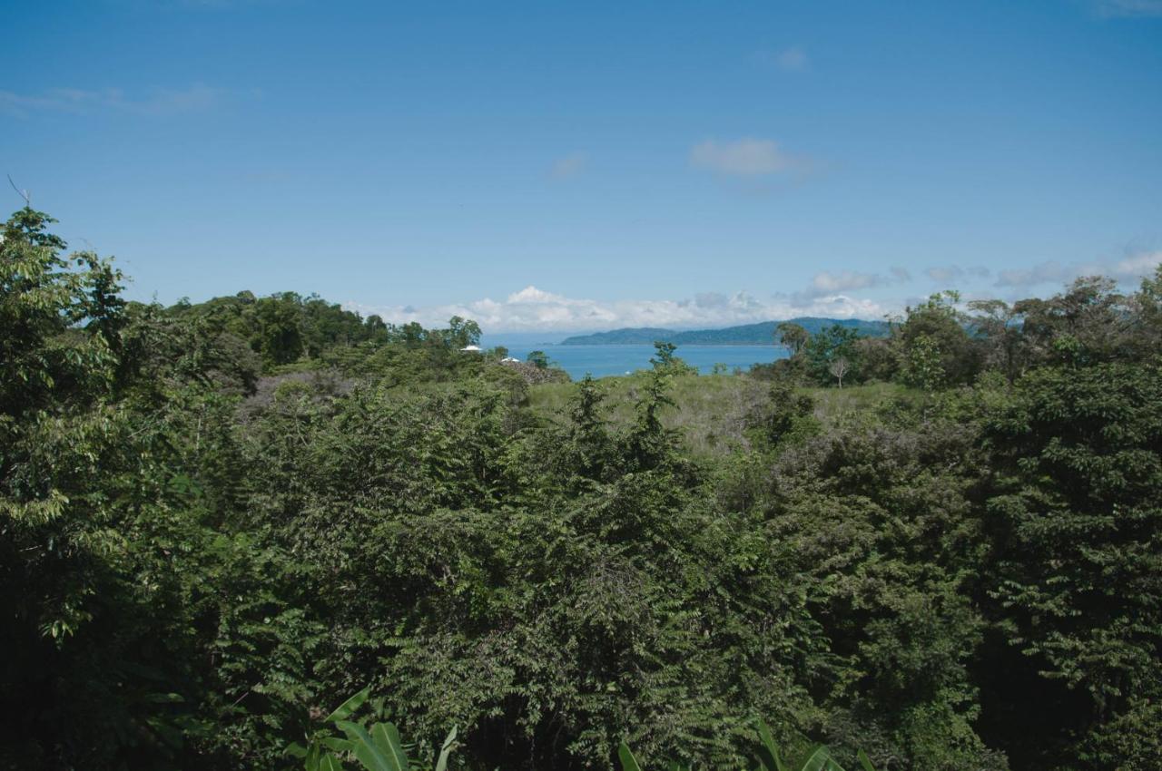 Drake Bay Greenleaf photo 3