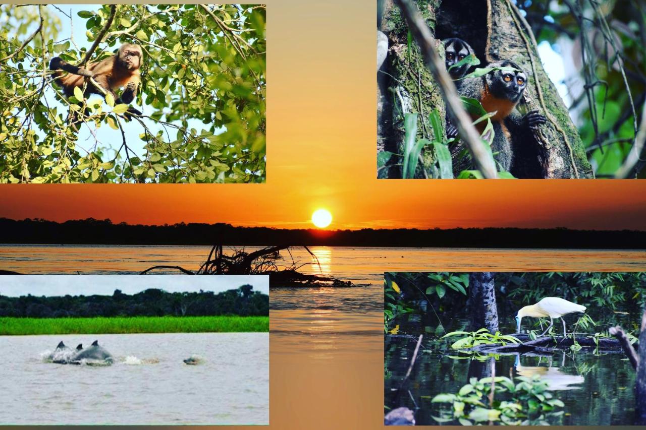 Jungle Wolf Expeditions Lodge & Tours Iquitos