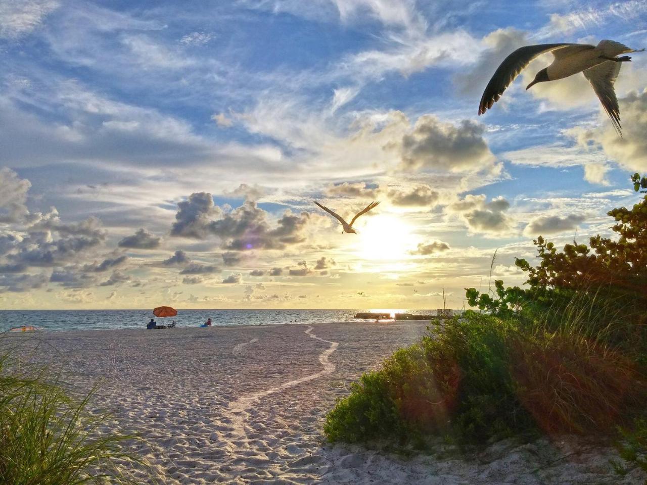 Foto - Turtle Crawl Inn - Longboat Key