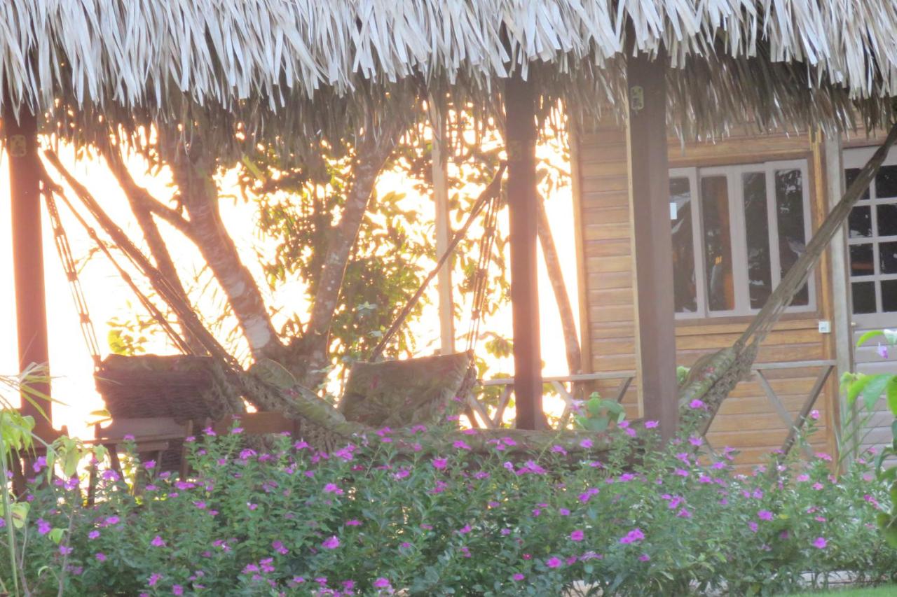 Alta Vista Amazon Lodge photo 4