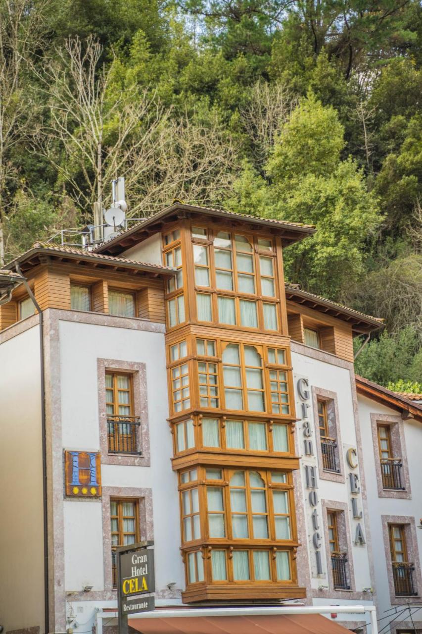 Gran Hotel Rural Cela photo 4