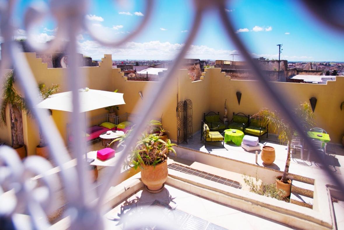 Riad Safir photo 4