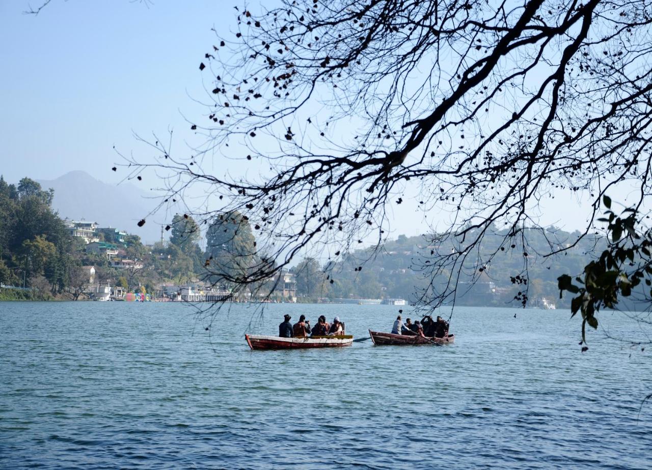 The Rosefinch Sarovar Portico photo 3
