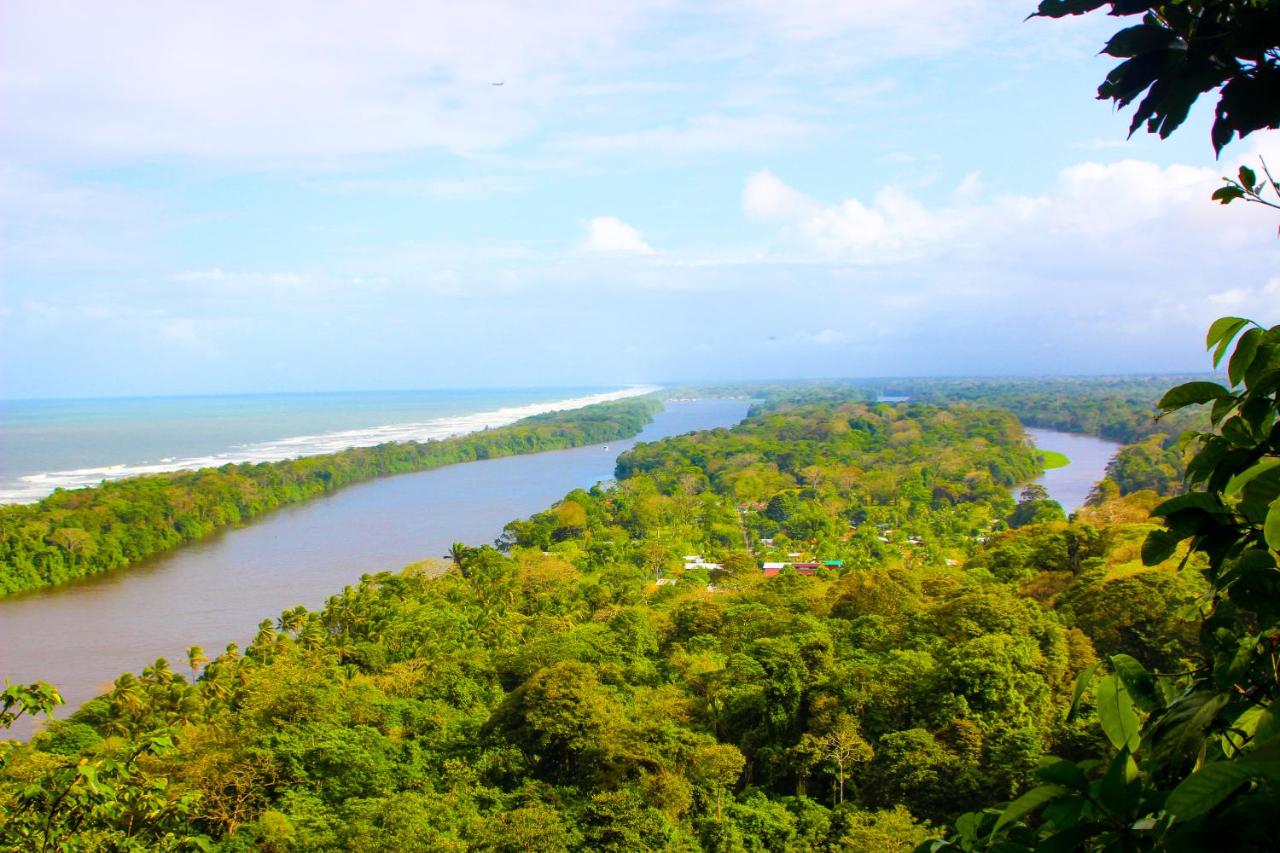 Hotel Tortuguero Beachfront photo 3