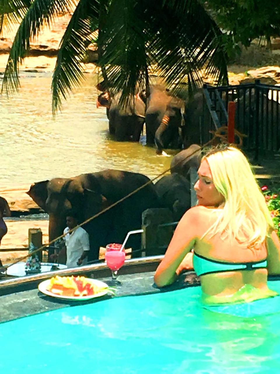 Hotel Elephant Bay - World's Best Place to See the Elephants photo 2