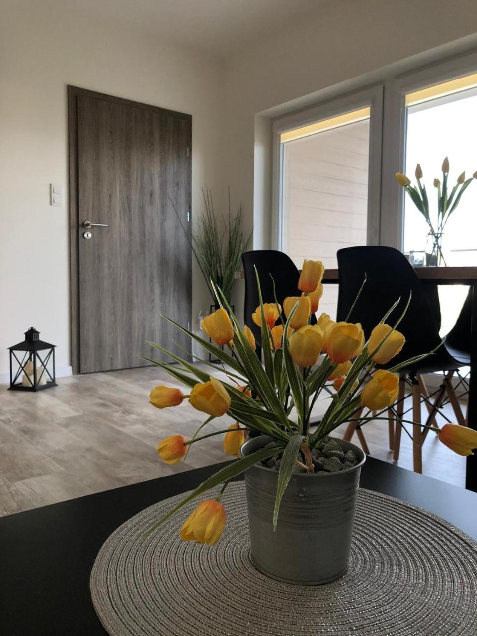 Apartament SŁONECZNY Pięć mórz Sianożęty - 5