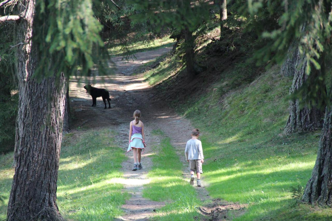 Naturpark Bauernhof Sperl photo 3