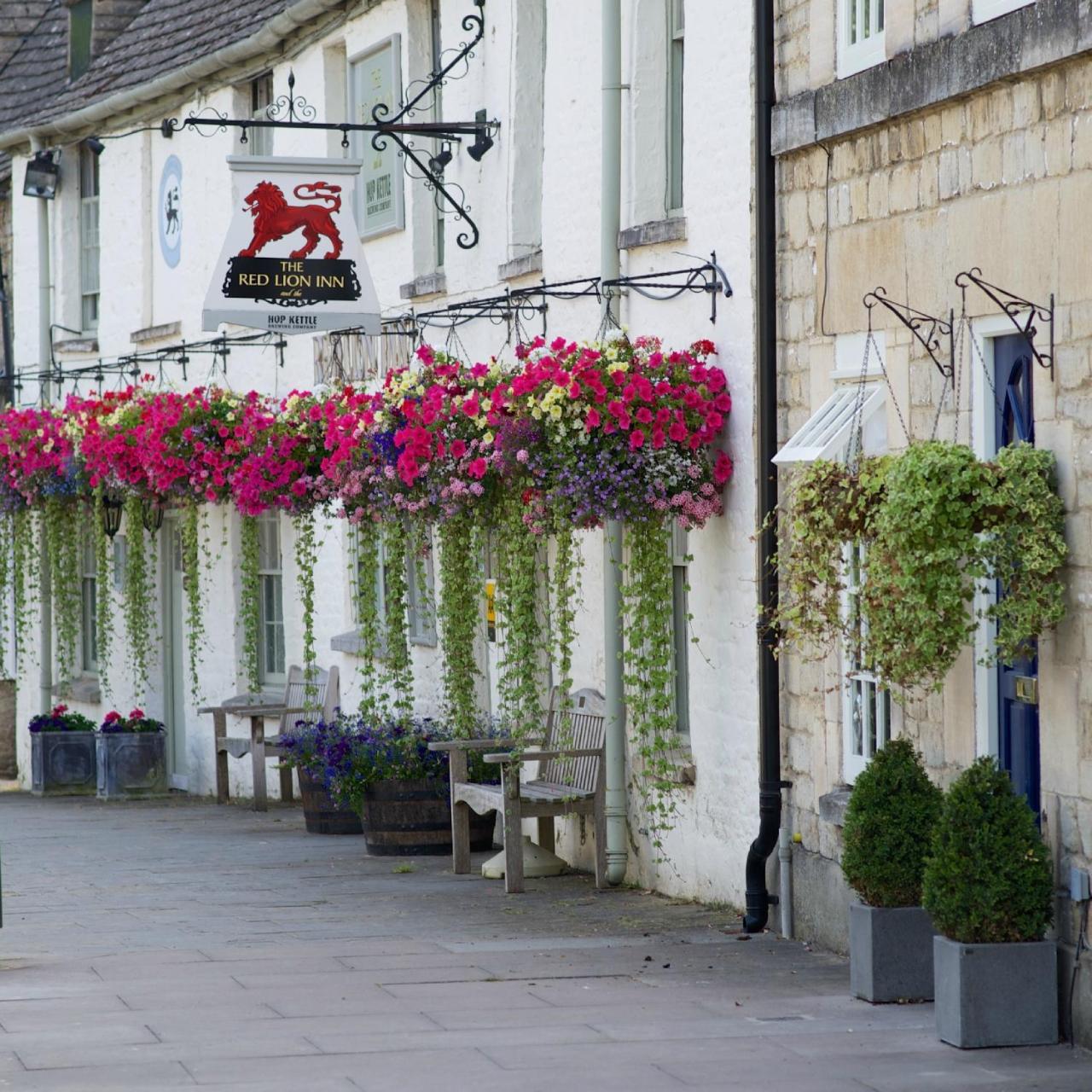 THE RED LION photo 4