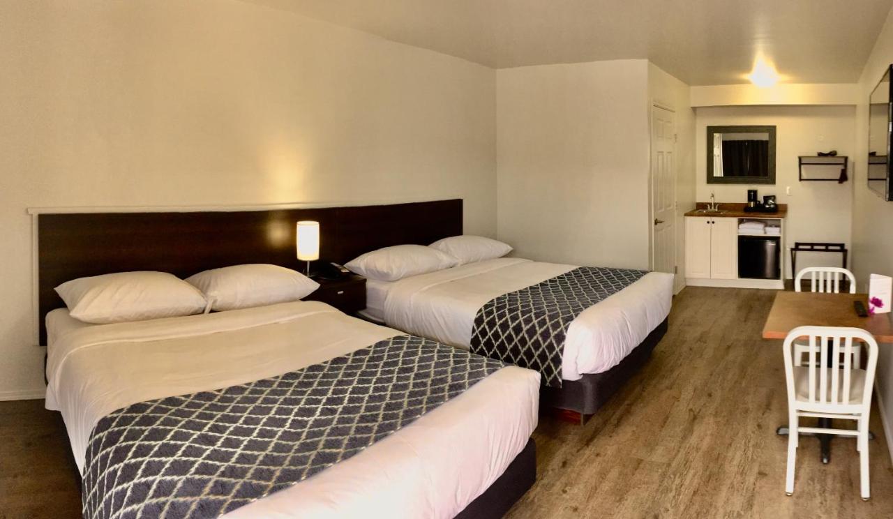Humpback Inn photo 2