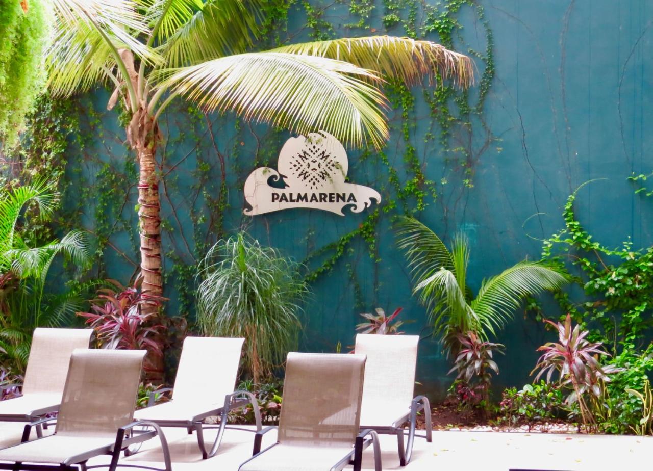 Palmarena Rooms & Residences - Long Stay Comfort with Parking, Sauna, Gym & Pool - Steps from 5th Avenue photo 3