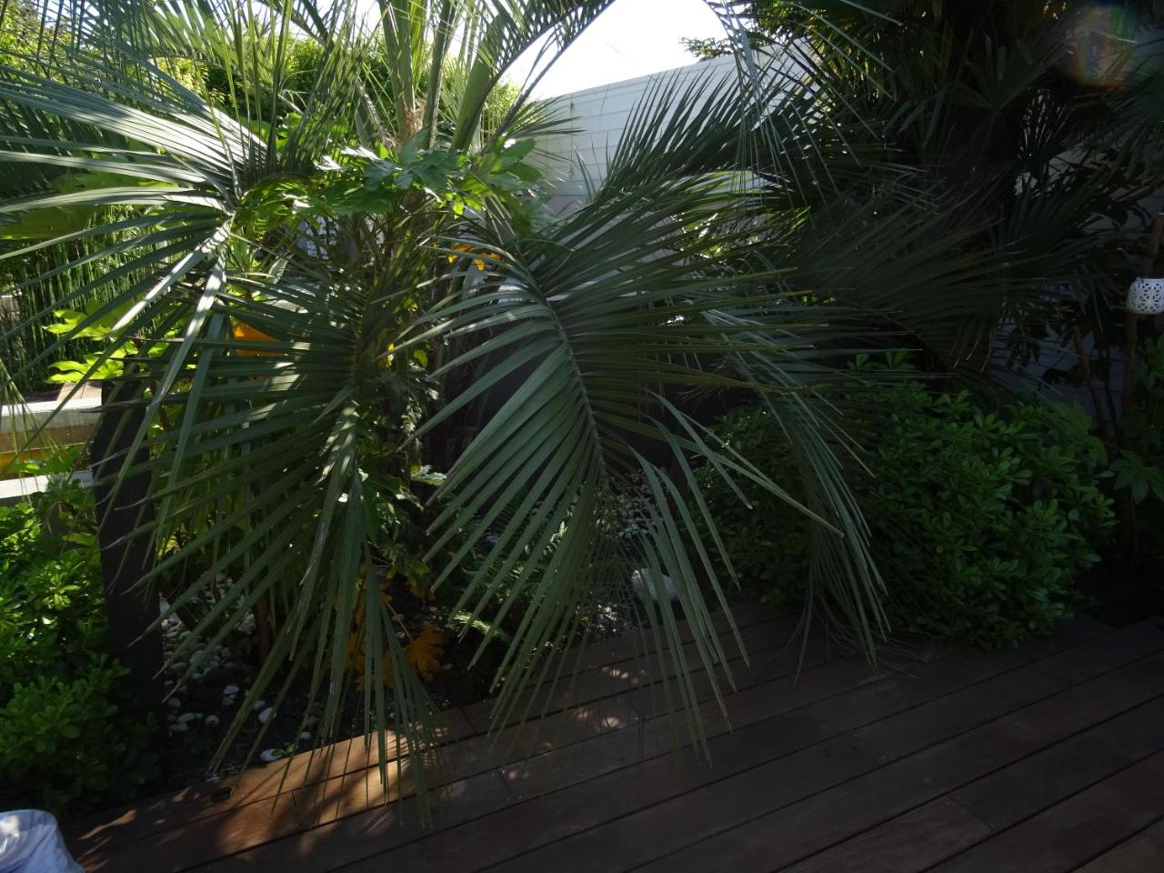 Hôtel Le Sens photo 4