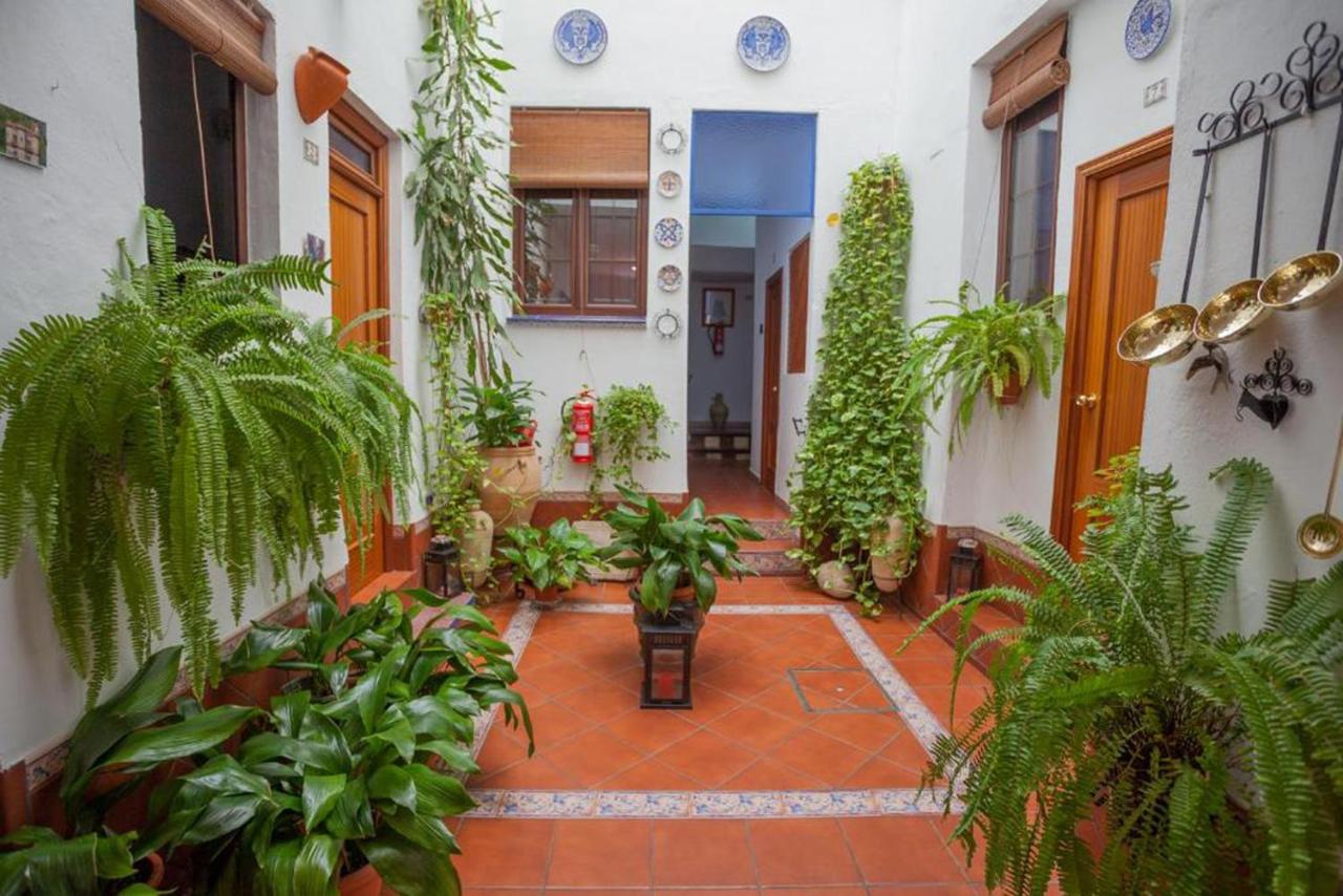 Pension San Pancracio photo 3