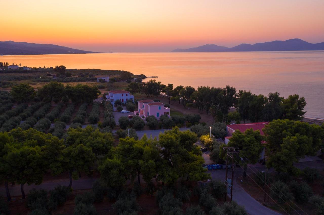 Makis Inn Resort photo 2