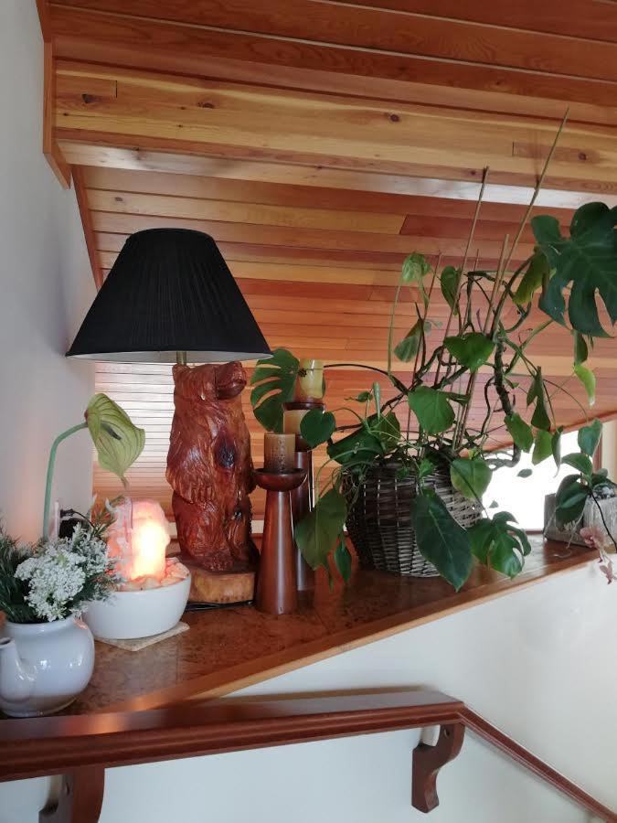 High Hopes Bed and Breakfast photo 4