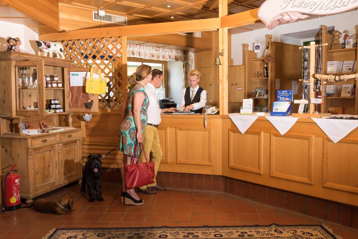 Landhotel Wachau - Bed and Breakfast - 6