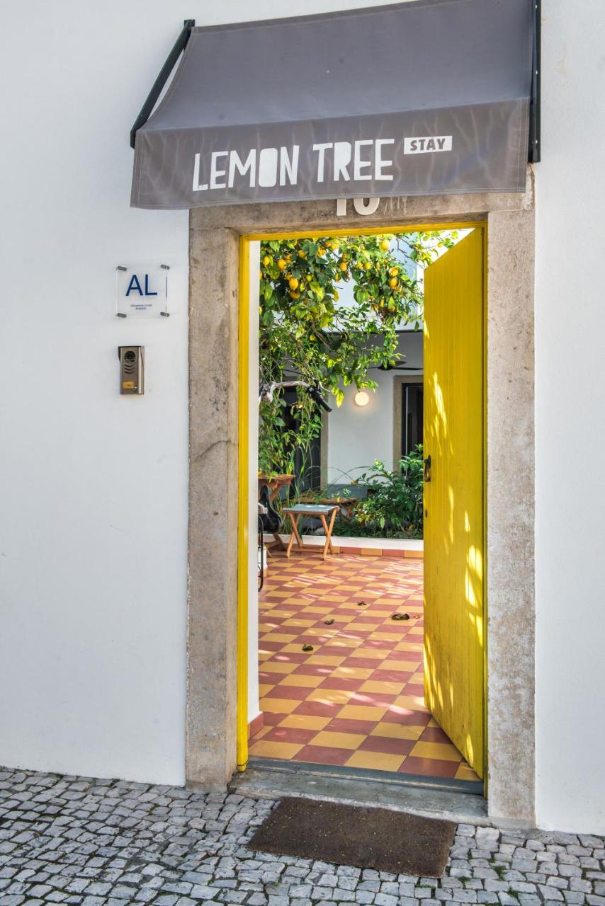 Lemon Tree Stay - 4