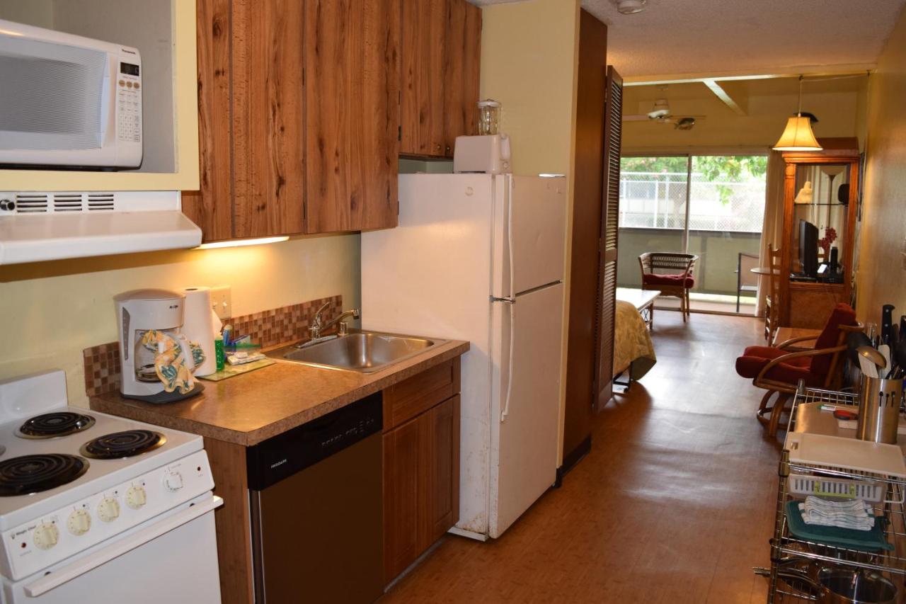 Cozy Ground Floor Studio Unit photo 3