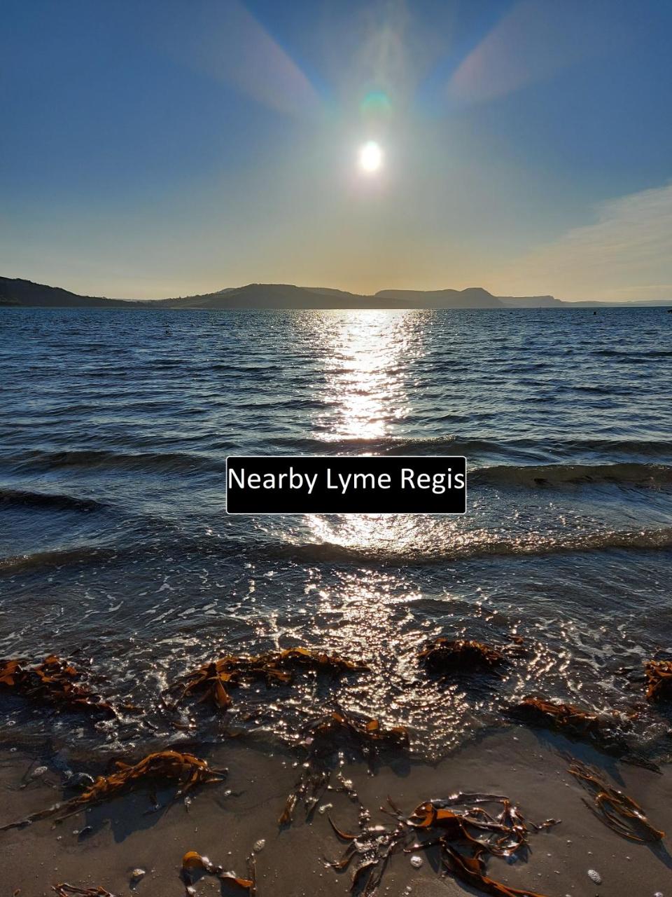 Detached Lyme Regis Studio - Pet Friendly - Private Parking - Small Private Fenced Garden - 2