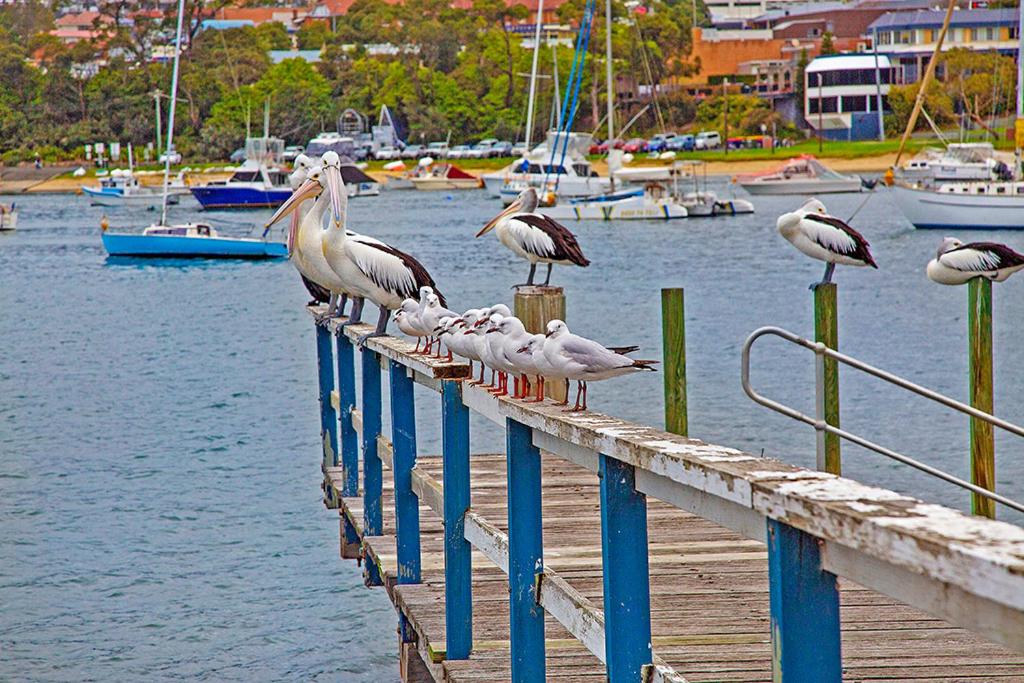 Sandpiper Motel Ulladulla photo 2