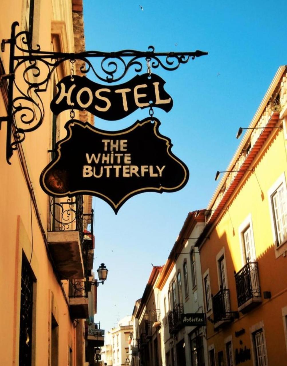 Foto - Hostel The White Butterfly