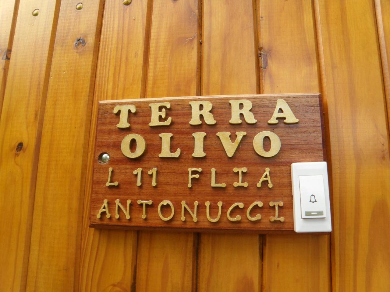 Cabañas Terra Olivo photo 3