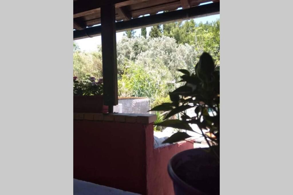 green hill studio corfu town - 4