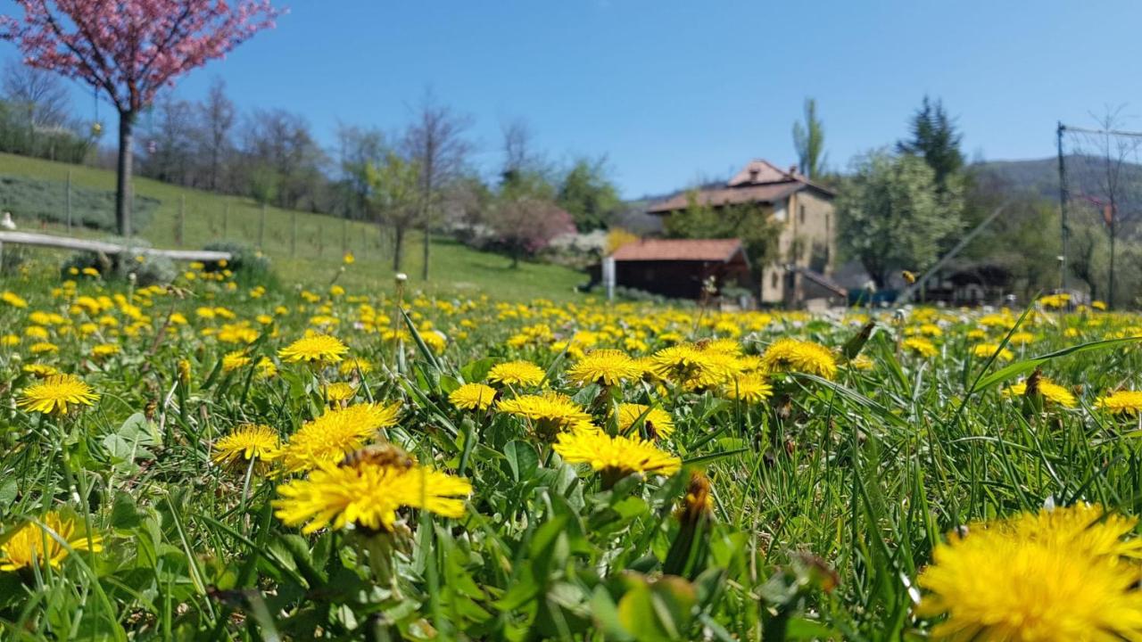 Agriturismo Fattoria Ca Di Sole photo 2