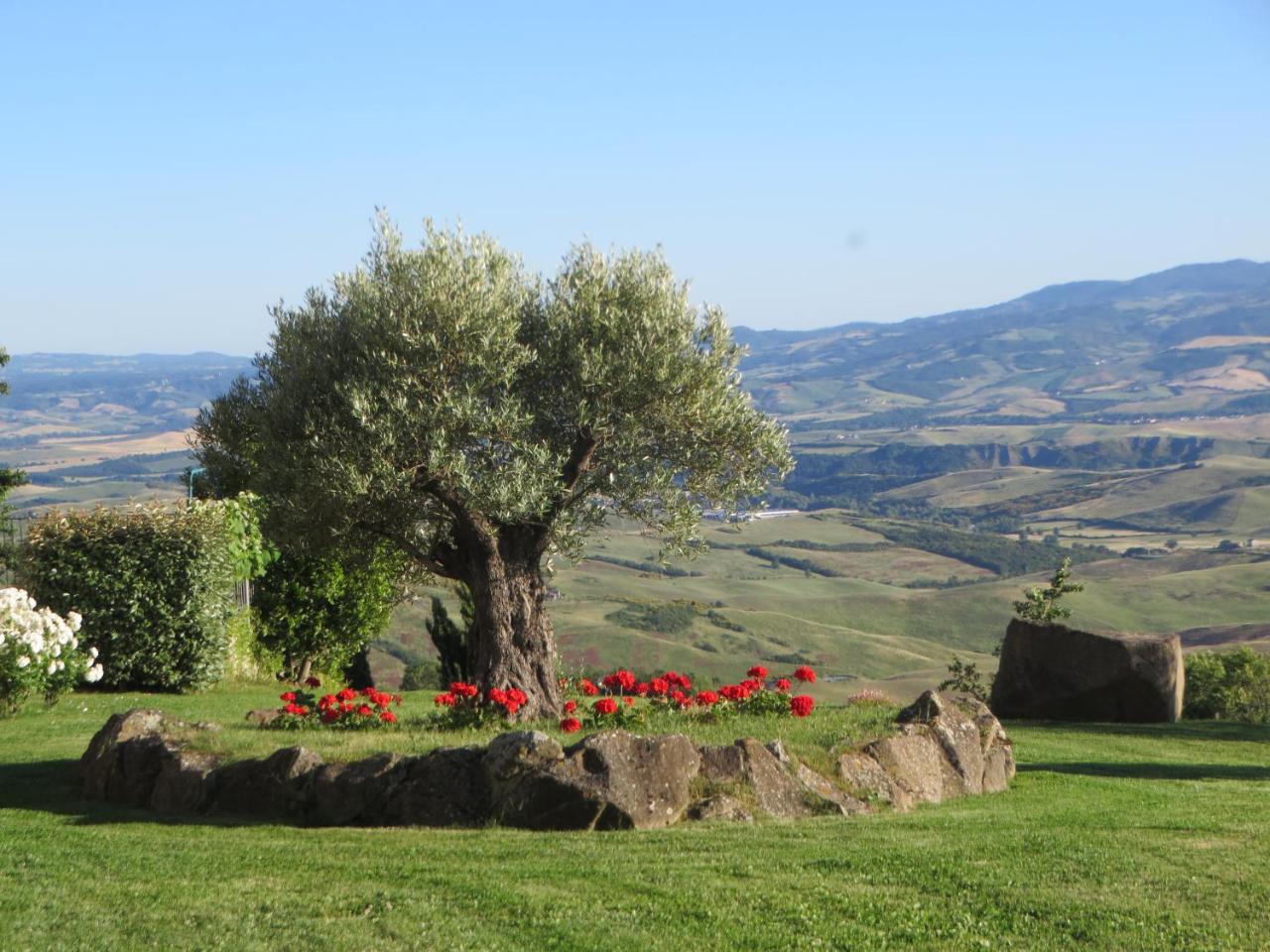 Appartamento Melograno in casale con piscina - Val d'Orcia - 5