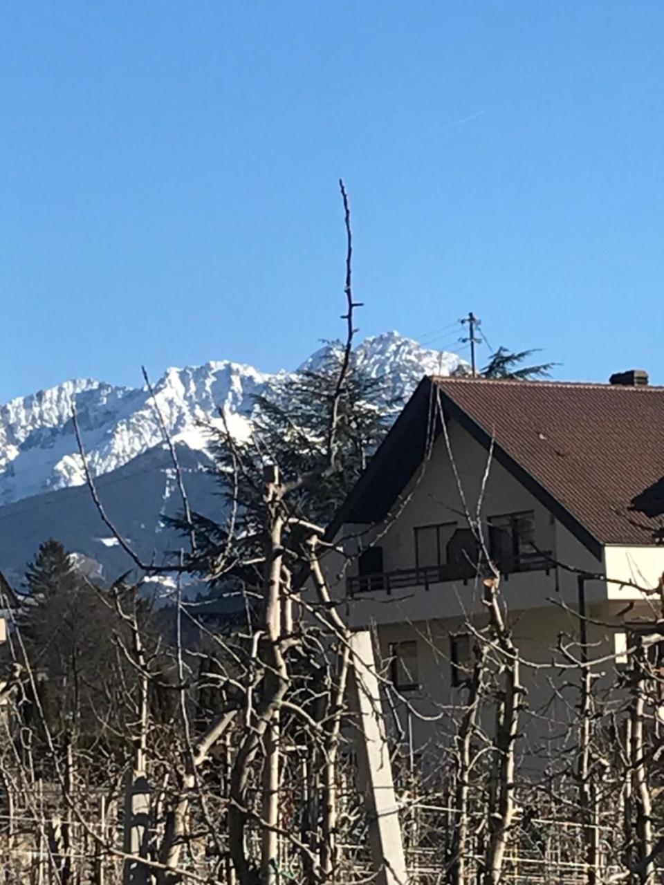 Residence Gerold - 6