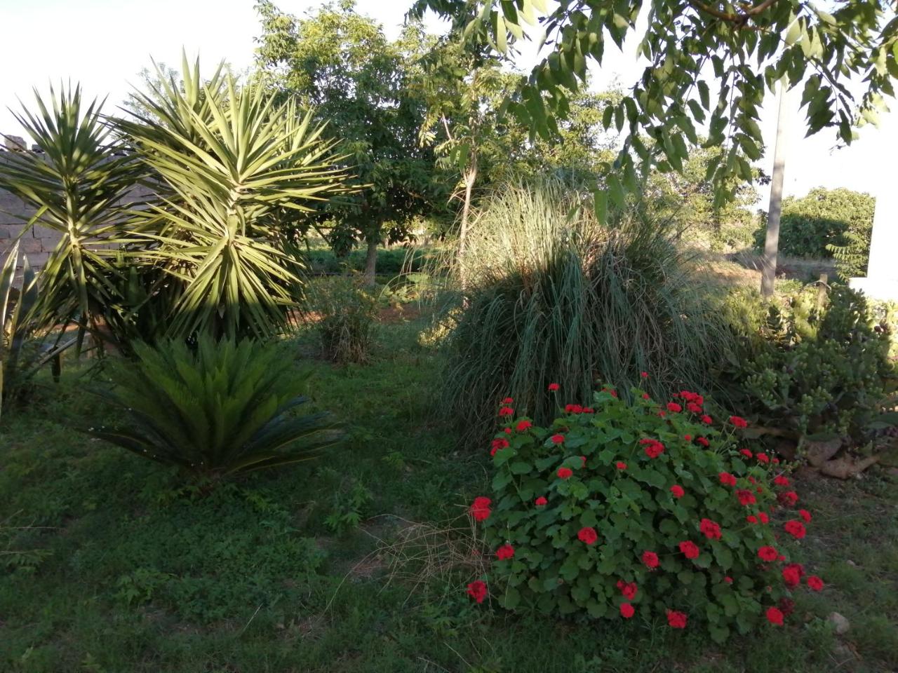 Agriturismo Tenuta Perruzzi photo 4