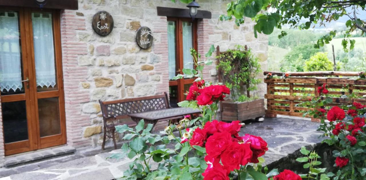 B&B Caselunghe photo 3