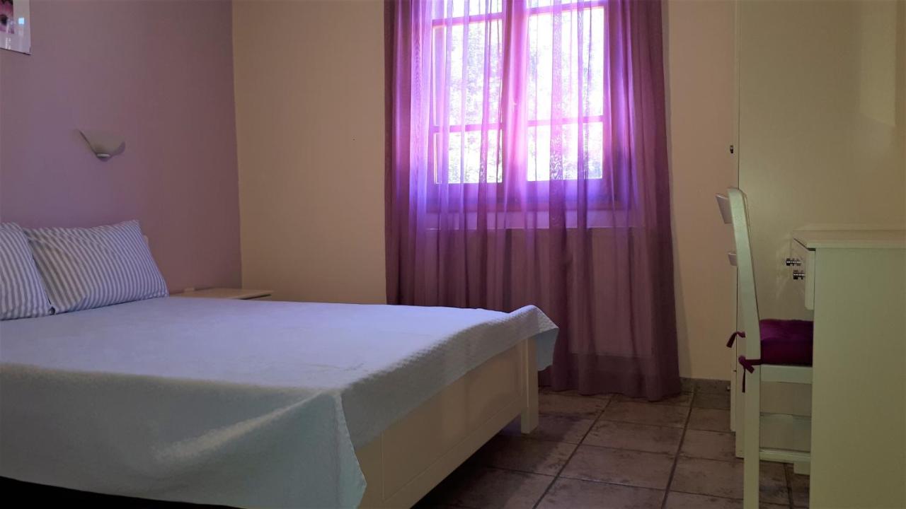 Ikos Studios and Apartments - 6