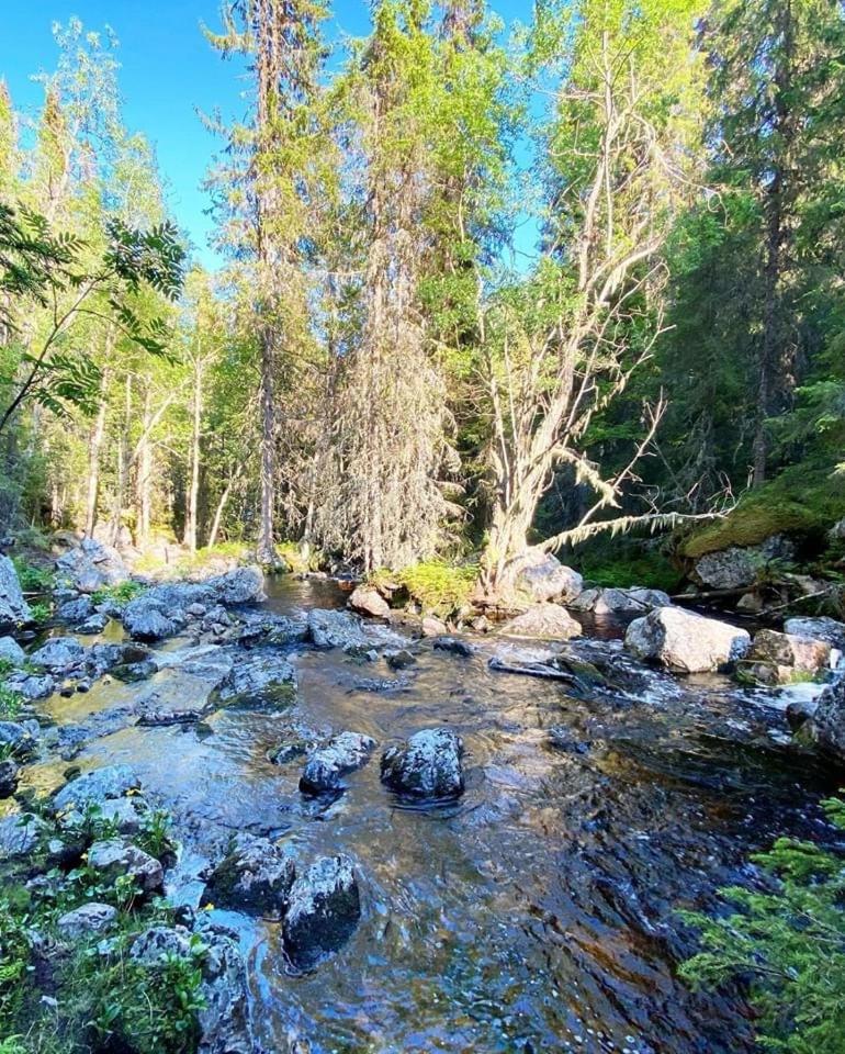Sonfjällsgårdens Wärdshus & Hotell photo 2