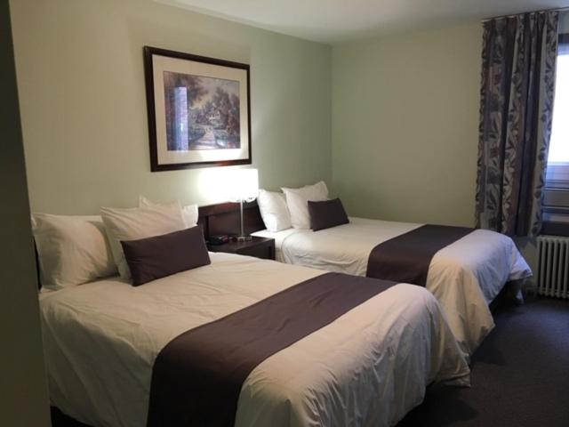 Auberge Centre Ville photo 3