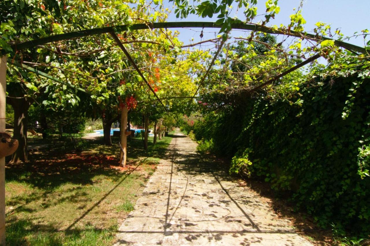 Aumallia Hotel & Spa photo 2