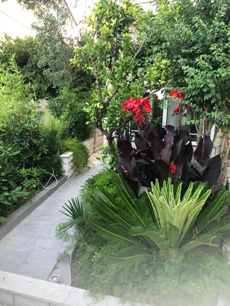 House Filomena - 5