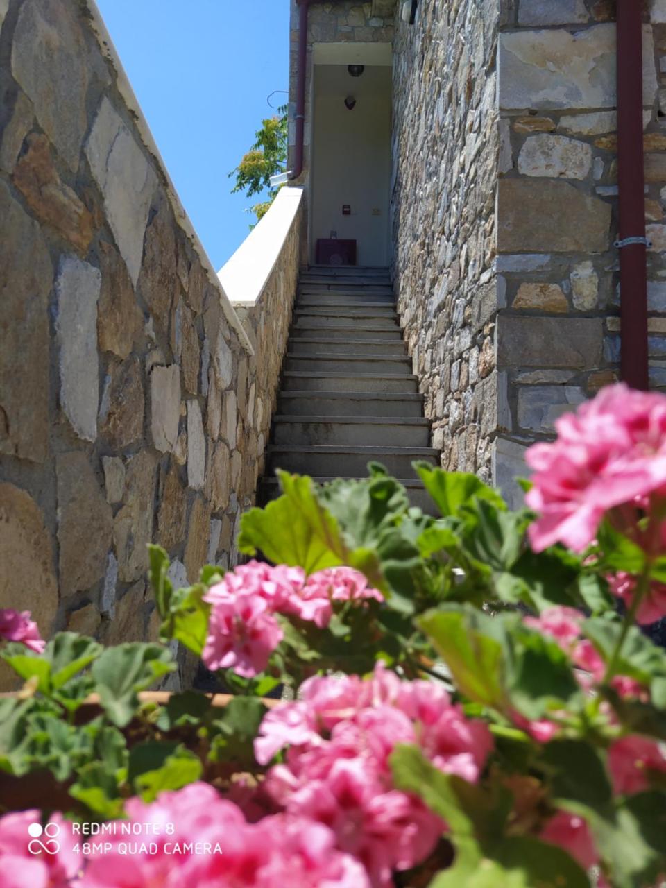 Morfili Villa - 2