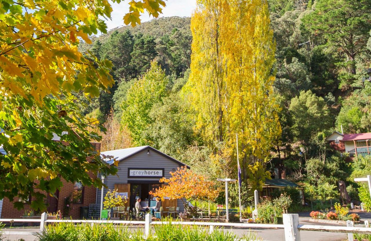 Walhalla's Star Hotel photo 4
