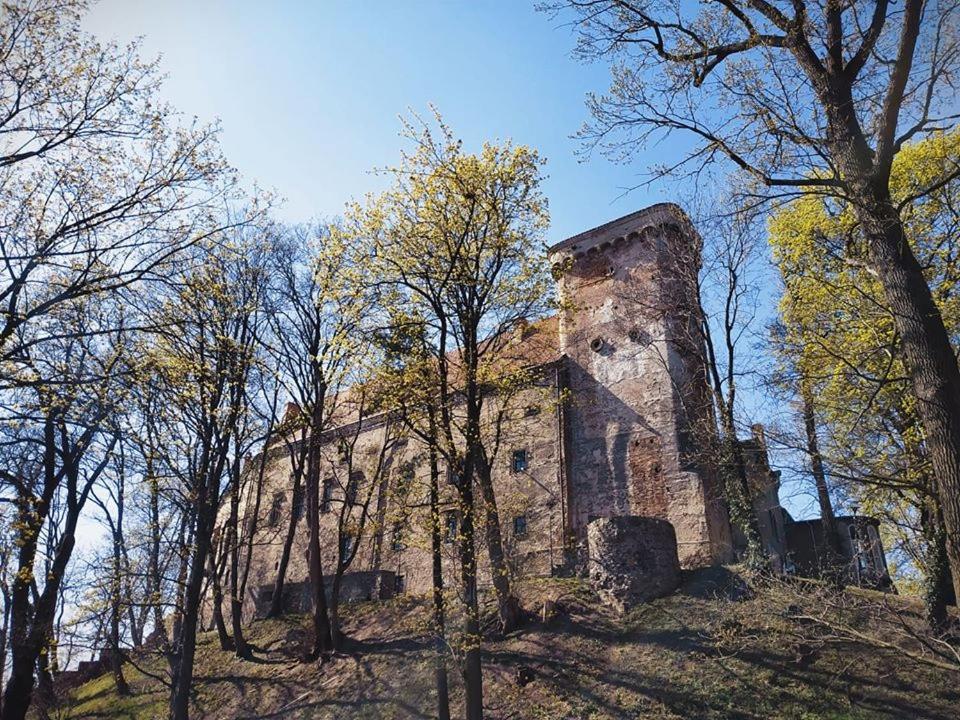 Zamek Otmuchów