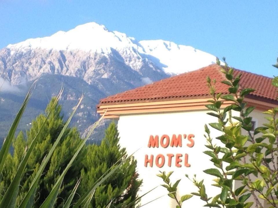 Foto - MG Moms Hotel