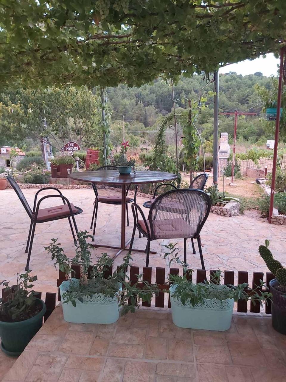 Apartman Rosa - 3