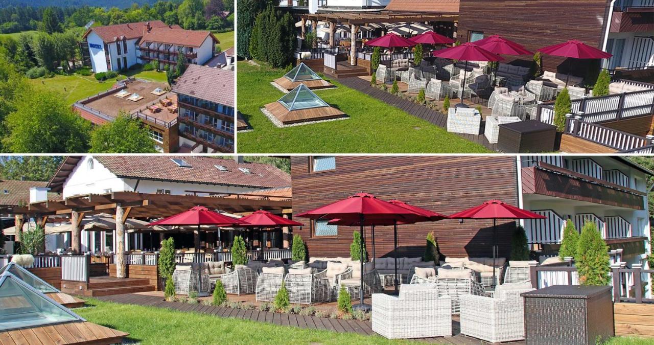 Waldhotel Luise photo 3