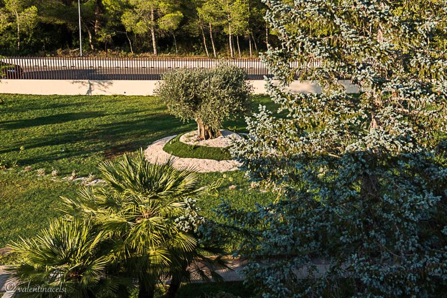 Hotel San Vincenzo Resort