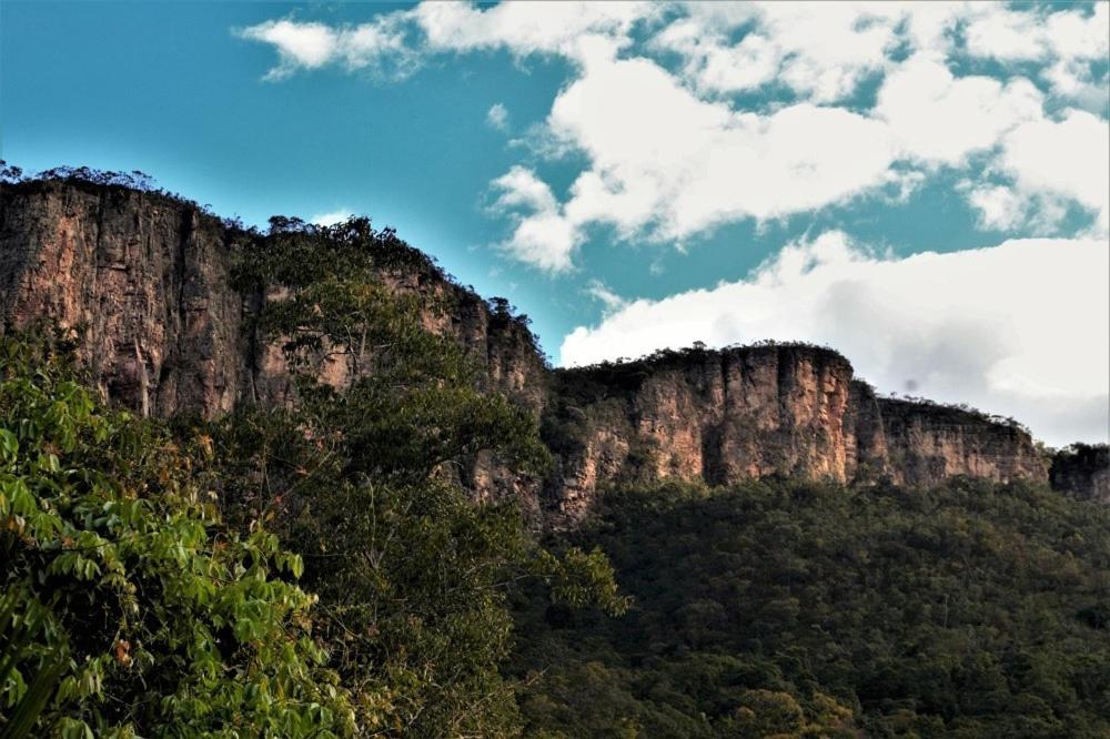 Mariri Jungle Lodge photo 3