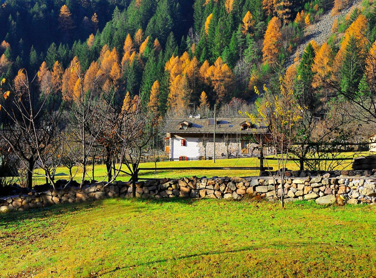 Foto - Maso Franceschella