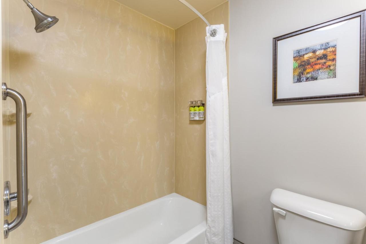 Holiday Inn Express - Albert Lea By IHG photo 4