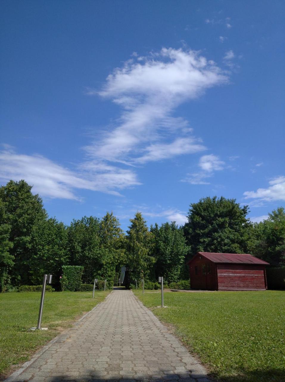 Vadvirág Panzió photo 2