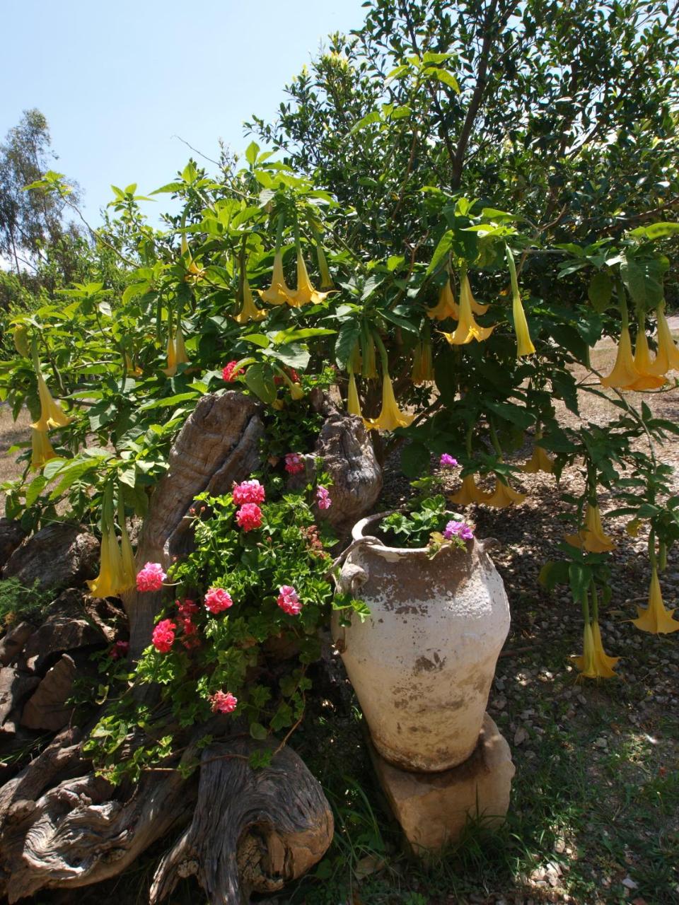 Gerolakos Country Houses photo 4