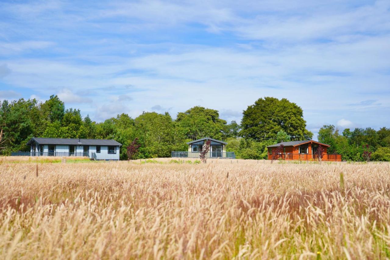 Linwater Caravan Park - Luxury Lodges and Static Caravans near Edinburgh photo 2