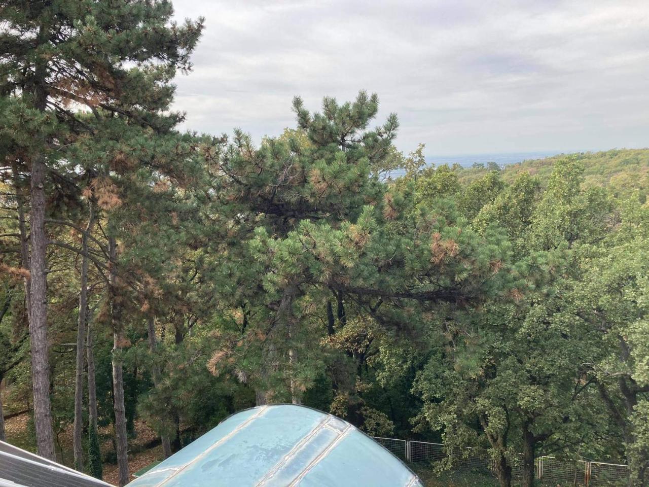 Berg Toboz Panzió - 4